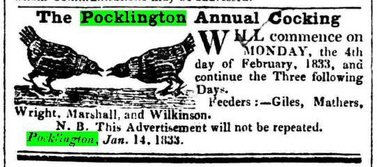 Annual Cockings in Pocklington